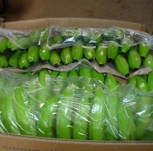 Meilleures bananes Cavendish vertes de qualité supérieure 100% Premium, 1 kg, Afrique du Sud, fraîches, prix bas - Product Image 2
