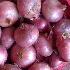Cebollas Rojas y Amarillas Frescas Orgánicas al por Mayor 2021 Disponibles a Buenos Precios - Product Image 2