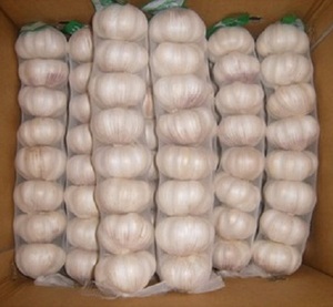 Ajo blanco fresco - Product Image 1