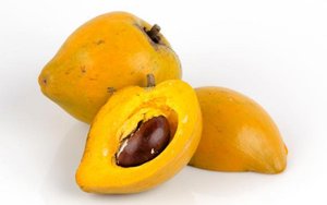 POUTERIA LUCUMA/อินทรีย์ LUCUMA ที่ดีที่สุดราคา - Product Image 4