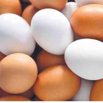 FRESH TABLE CHICKEN EGGS SSS