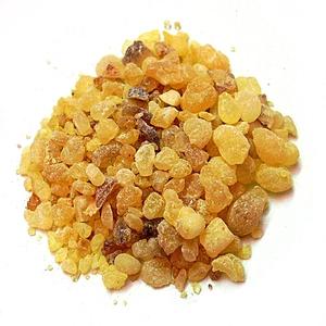 Huile essentielle de frankincense 100% pure, fabricant, résine de Boswellia serrata, distillation à la vapeur - Product Image 2