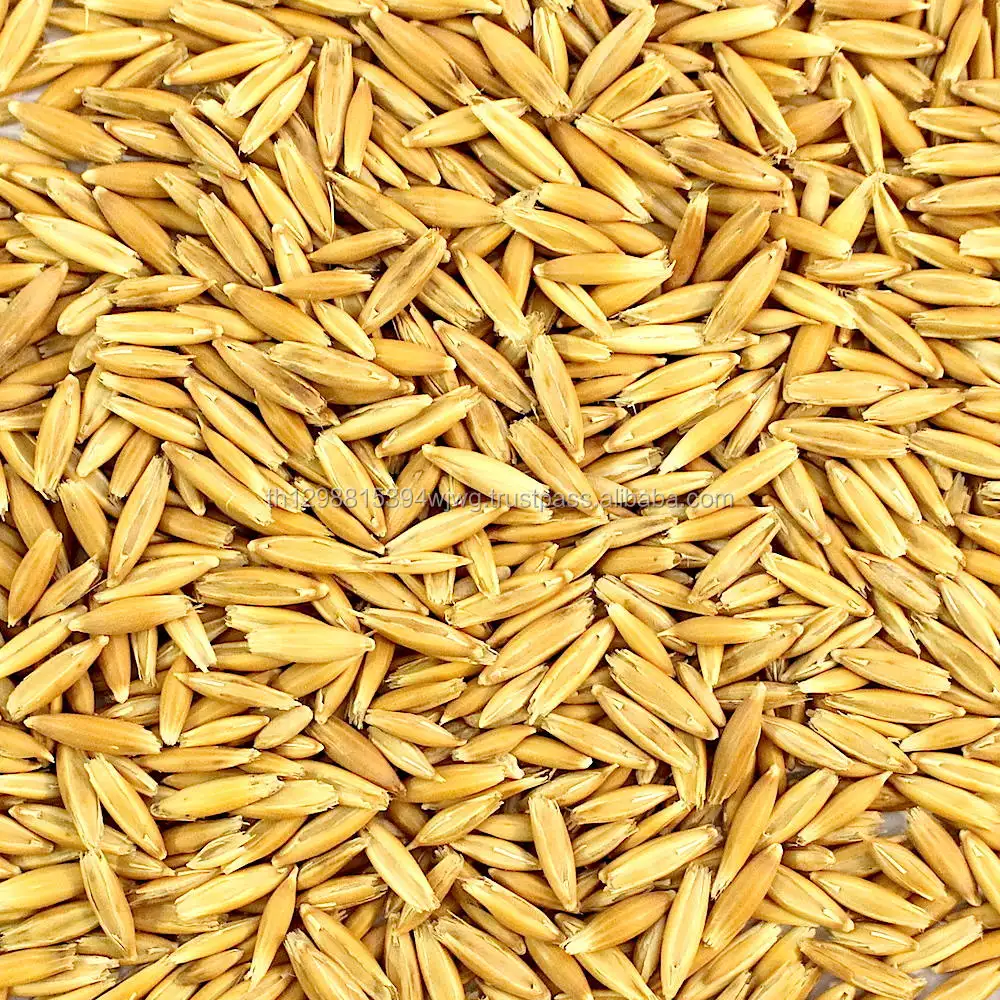 Grades of animal feed oats price