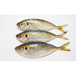 Trevally/Selaroides à rayures jaunes séché 100 grammes - Product Image 2