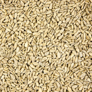 Semillas de Girasol Secas Rayadas Grado AA Holandesas 2021 en Bolsas Tejidas de PP de 25/50 kg Disponibles - Product Image 3