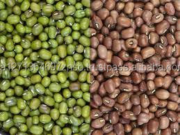 Frijoles Mung Verdes Secos de Alta Calidad / Frijoles Moong Enteros Moong Dal Alimento a Granel a Precio de Mayoreo - Product Image 2