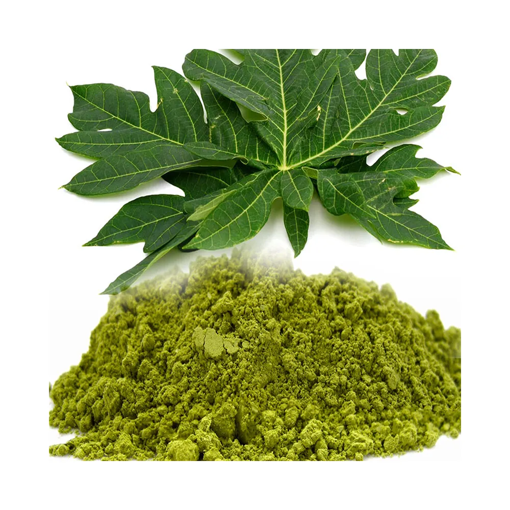 Medicinal Use Papaya Leaf Extract Powder