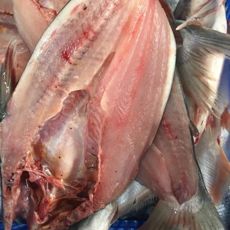 Рыба бабочка/рыба пангасиус