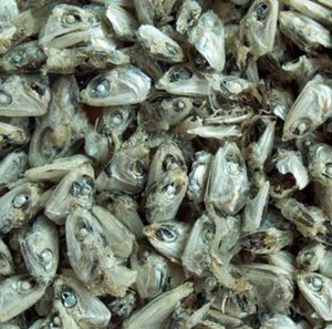 Cabeza de Anchoa para Alimentación Animal o Fertilizante - Product Image 3