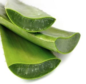 Gel Puro de Aloe Vera Prensado en Frío, Aceite Portador Certificado GMP, Cuidado Intensivo para Rostro, Cuerpo, Cabello, Manos y Masajes - Product Image 1