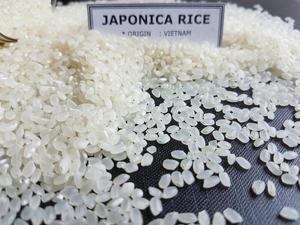 JAPONICA Calrose Arroz Seco de Grano Corto Textura Suave para Cocina Japonesa - Product Image 2