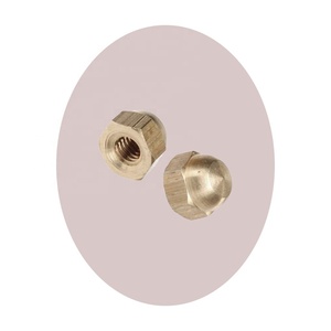 Fournisseur d'écrous dôme en laiton nickelé de haute qualité en Inde Écrous de finition de qualité supérieure - Product Image 1