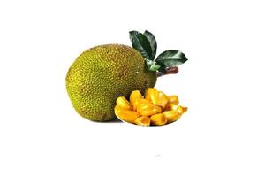 ขนุนสด ราคาดีที่สุด คุณภาพเยี่ยม 84845639639 - Product Image 4