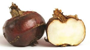 Noyer à eau en fonte naturelle, 2022, de haute qualité, en promotion - Product Image 2