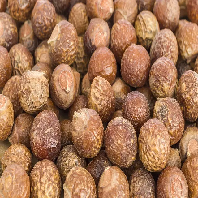 Sapindus Trifoliatus Chiết Xuất 40Apindoside/Soap Nut Bột