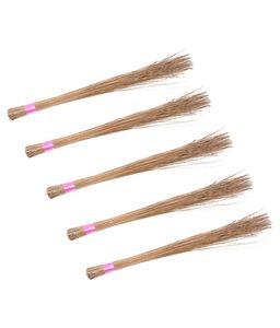 Balai coco fournisseurs pour les importateurs/Cocotier balai Ms. Vacances - Product Image 5
