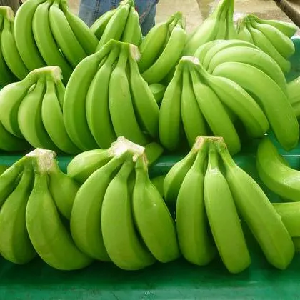 キャベンディッシュバナナ