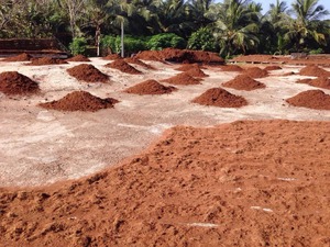 COCOPEAT, turba de coco, precio de COCOPEAT para cultivo de jardín - Product Image 6
