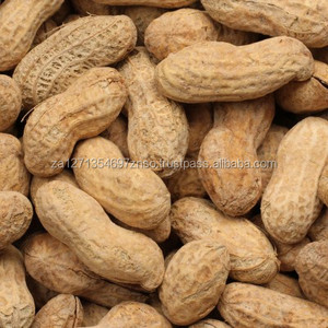 Certificat Halal Collations aux noix et aux amandes Arachides grillées et salées en coquille Vente en gros bon marché et OEM - Product Image 4