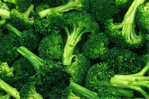 POLVO DE BROCCOLI/BROCCOLI EN POLVO ORIGEN VIETNAM - Product Image 6
