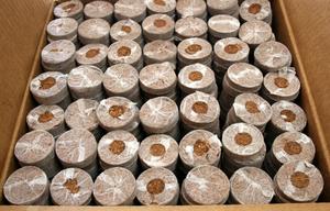 มะพร้าวมะพร้าว Cocopeat,ต้นมะพร้าว,เม็ดมะพร้าว - Product Image 6