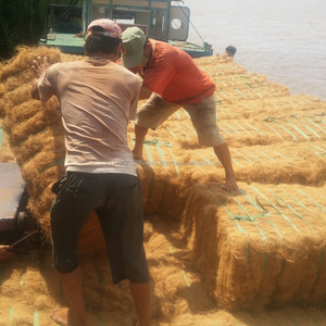 Coconut Coir <b>Fiber</b> / Viet Nam - Product Image 4