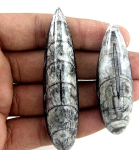 Orthoceras naturel pierre précieuse poire forme lisse Cabochons lâche fabrication de bijoux pierre Collection Style coupe - Product Image 3