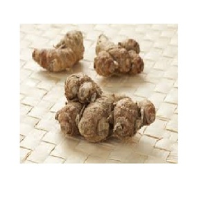 รากไม้เคมเฟอเรียกาลังกาจากเวียดนาม - Product Image 1
