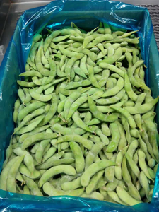 IQF verdure surgelate Edamame Kernel IQF Edamame biologico - Product Image 5