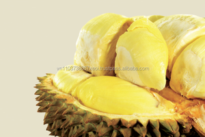Durian de Vietnam de la mejor calidad y precio - Product Image 4