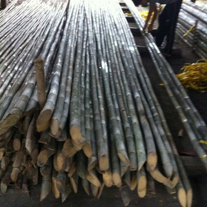 เสาไม้ไผ่ดิบจากเวียดนามที่มีคุณภาพสูง - Product Image 5