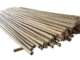 Matériaux bruts de poteaux en bambou 100% naturel du Delta du Vietnam, tailles 60-150cm. Contactez-nous au +84-845-639-639 - Product Image 3