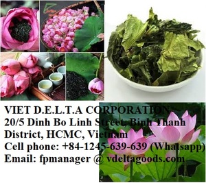 FLEUR DE LOTUS SÉCHÉE DE QUALITÉ SUPÉRIEURE DU VIETNAM POUR BOIRE DU THÉ AU MEILLEUR PRIX - Product Image 3