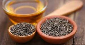 Huile essentielle de carvi en gros, 100% pure, naturelle, qualité aromathérapie |   Exportateur en gros |   Herbes Janvi - Product Image 4