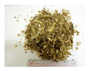 ENSILAGE DE MAÏS DE BONNE QUALITÉ POUR LES BOVINS À PRIX BON PRIX - Product Image 4