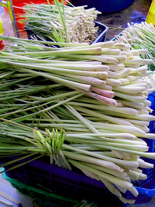 Prix de la citronnelle séchée / Poudre de citronnelle - Product Image 5