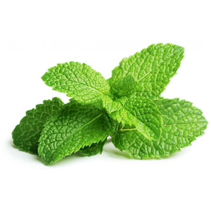 น้ำมันหอมระเหยเปปเปอร์มินต์ออร์แกนิคแท้ 100% ผู้ส่งออกจากอินเดีย ราคาขายส่ง รับผลิตแบรนด์ส่วนตัว เกรดพรีเมียม PEEL - Product Image 4