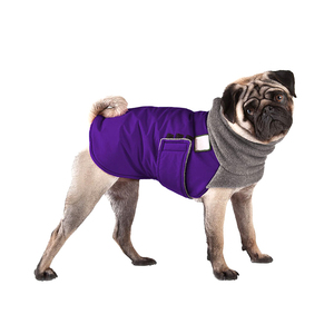 Abrigo impermeable de diseño elegante para perros, ropa y accesorios para mascotas, suéter de verano, impermeable, logotipo de marca personalizado - Product Image 2