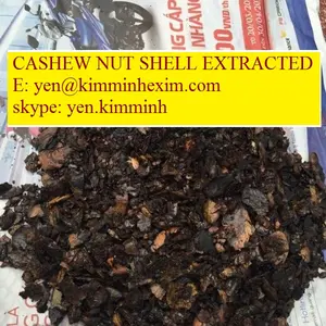 Coquille d'écrou peinte, 20 pièces - Product Image 1