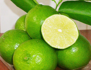 High Quality Organic Seedless Lemon From Vietnam <b>Fresh</b> <b>Citrus</b> <b>Fruit</b> Phone +84-845-639-639 - Product Image 1