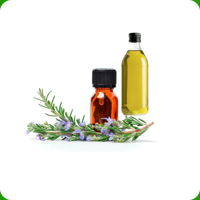 Qualità di esportazione 100% olio essenziale di rosmarino biologico aiuta a curare l'acne con imballaggio igienico a prezzi economici