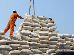 ผงเนื้อมะพร้าว-ผงผัก ราคาถูก อบแห้ง จากเวียดนาม สำหรับใช้ในอาหาร - Product Image 5