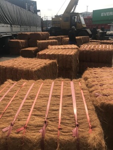 Pièce de monnaie américaine, fibre de coco vietnamien pour les ventes de 2019 - Product Image 4