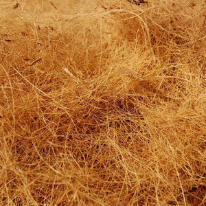 Fibra de coco - Product Image 1