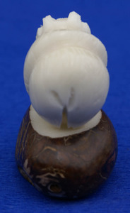 รูปปั้นหมีขั้วโลกสีขาวแกะสลักด้วยมือรูปปั้นถั่วรูปทะเลรูปปั้นศิลปะพืชงาช้างธรรมชาติงานฝีมือ - Product Image 3