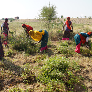 ผู้ผลิตสีผมแท้แบบสามขั้นตอน ปราศจากสาร PPD ผู้ส่งออกผงเฮนน่าฮาลาล รูปแบบผง ราคาถูก รับผลิตแบบ OEM เฮนน่าโซจัต - Product Image 5