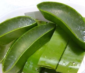 ว่านหางจระเข้สด/ก้อนว่านหางจระเข้สด/ว่านหางจระเข้ - Product Image 1