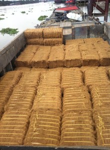 El mejor proveedor de fibra de coco de Vietnam - Product Image 5