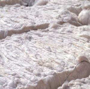 Shody - Product Image 1