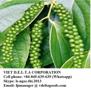 Pepercorn de alta calidad, gran oferta, en VietNam - Product Image 5